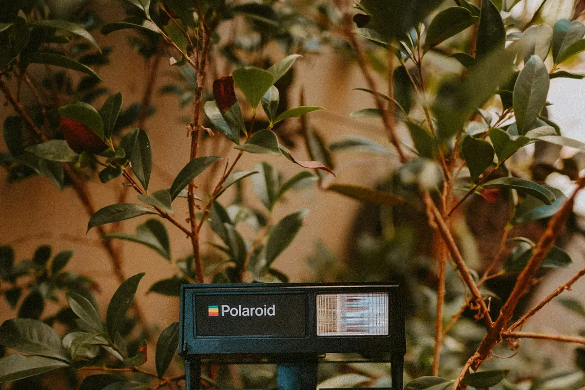 Zarządzanie kryzysowe: Kiedy zwolnienia to ostateczność?