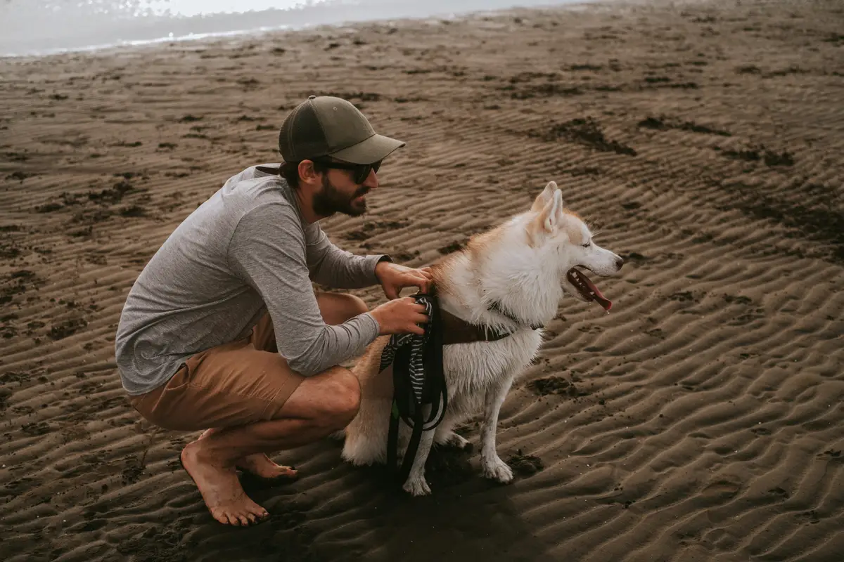 Odzyskanie płynności finansowej firmy transportowej w 114 dni